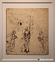 VBS_0042 - Mostra Nel segno di Raffaello